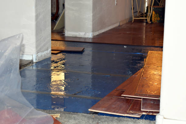 Professional Burst Pipe Cleanup technician working in Page, ND